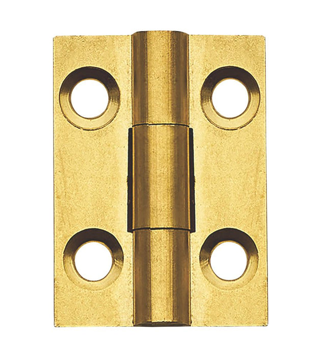 Self-Colour  Solid Drawn Butt Hinges 25mm x 19mm 2 Pack